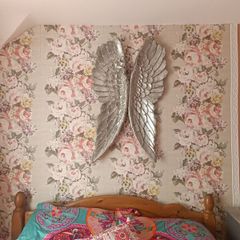 angel wings