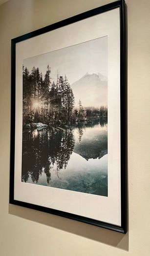 Framed Posters
