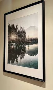 Framed Posters