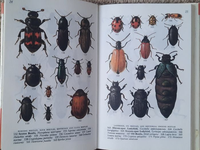Vintage 'Dune and Moorland Life by Leif Lyneborg