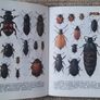 Vintage 'Dune and Moorland Life by Leif Lyneborg Image 5