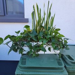 Indoor planter