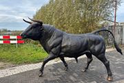Life Size Bronze Bull Sculpture
