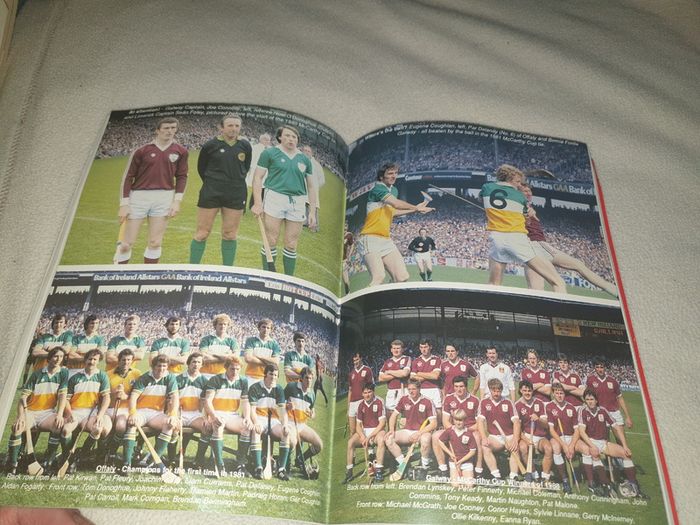 The Shell Book of the McCarthy Cup All ireland Senior Finals    Gaa book