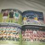 The Shell Book of the McCarthy Cup All ireland Senior Finals    Gaa book Image 3