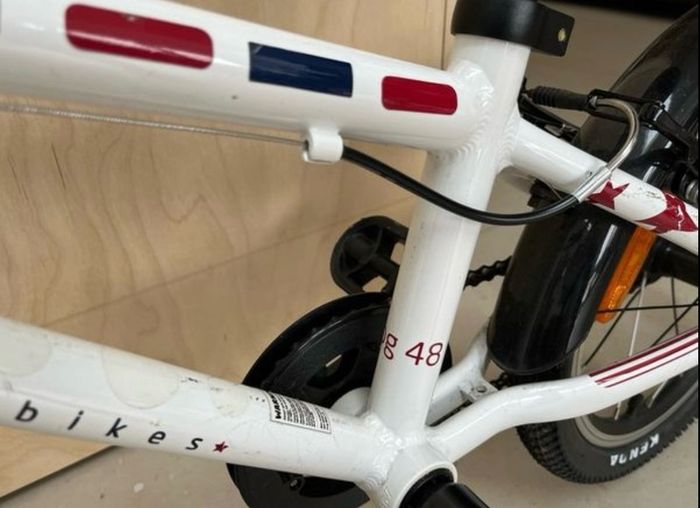 Bike Frog 48