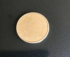 United Arab Emirates coin 1 Dirham