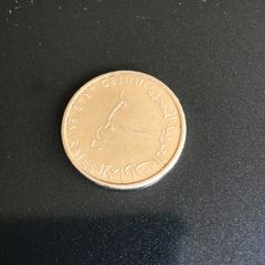 United Arab Emirates coin 1 Dirham