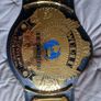 wwe winged eagle belt Image 2