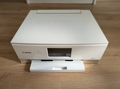 Canon PIXMA TS8351 all in one Works, Needs Head Cleaning