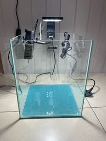 aquarium (small tank)