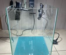 aquarium (small tank)