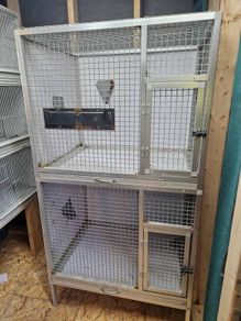parrot / bird cage