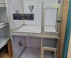 parrot / bird cage