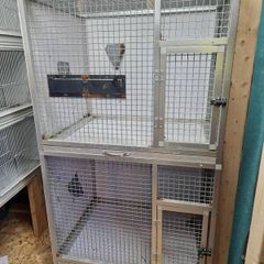 parrot / bird cage