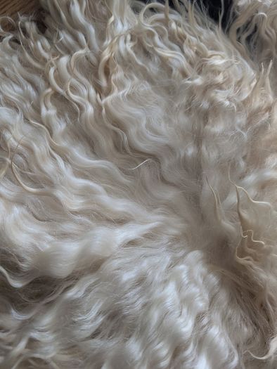 Doll hair Goat skin with long curls