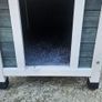 Dog kennel Image 2