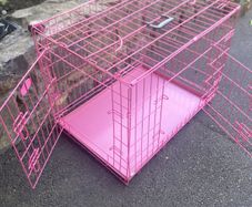 Large Pink 2 door collapsible Dog crate
