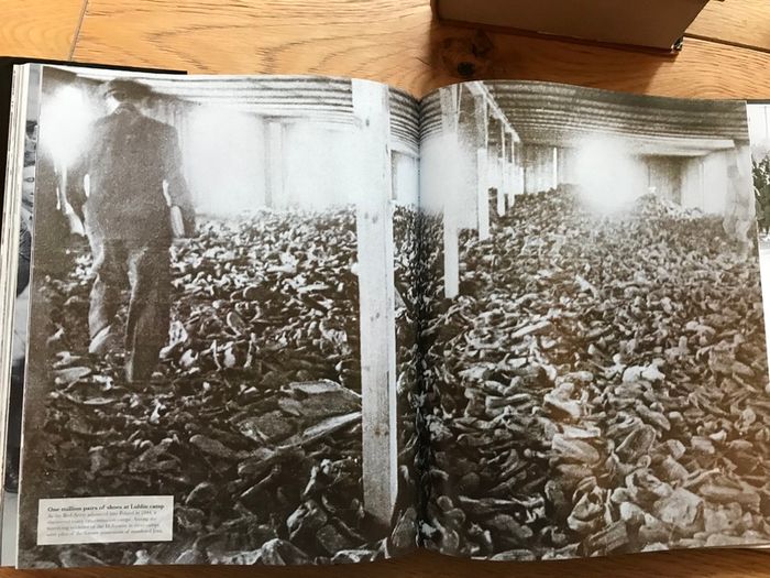 The Rise and Fall of the Third Reich and World War 11