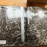 The Rise and Fall of the Third Reich and World War 11 Image 10