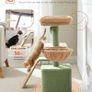Road Cactus Cat Tree With Scratching Pad and Hammock Cat Tower With Condo, Small Cat Tower Comfy Basket For Indoor Cats, 80cm Green Image 3