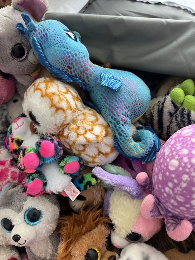 beanie boos