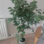 Artificial Tree Image 2