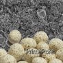 PrimePore 500ml ceramic filter material Image 3
