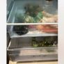 Fridge Image 2