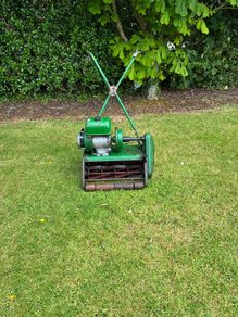 Ransomer lawnmower