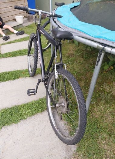retro adult mountain bike