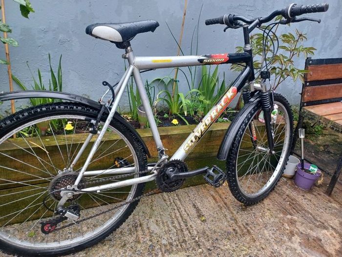 Saxon Mens bike