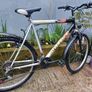 Saxon Mens bike Image 5