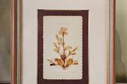 Vintage Framed Dried Pressed Wildflowers Picture Art