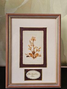 Vintage Framed Dried Pressed Wildflowers Picture Art