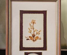Vintage Framed Dried Pressed Wildflowers Picture Art