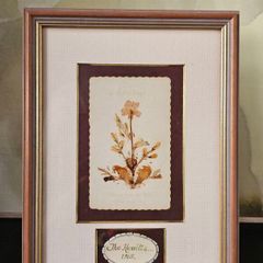 Vintage Framed Dried Pressed Wildflowers Picture Art