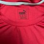 Men t-shirt Puma sports L Image 2