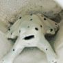 antique frog mug Image 4
