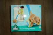Toy Push along puppy