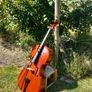 Cello Primavera 90 Image 2