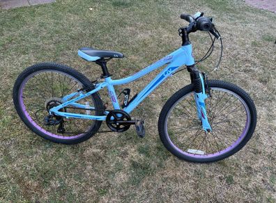 Giant 24" Girls Bike