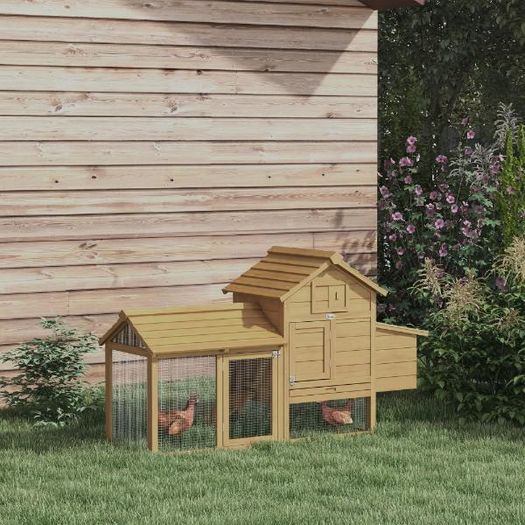 Small Chicken Coop with Run & Nesting Box