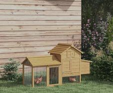 Small Chicken Coop with Run & Nesting Box