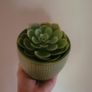 Artificial Succulent Plant in Ceramic Pot Image 3