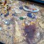 Antique framed sea shell collages Image 3