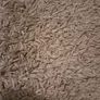 small rug Image 3