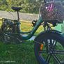 Electric Bicycle Image 7