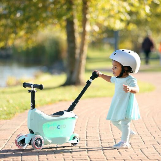 Adjustable Push Handle, seat and box for SCOOTER MINI MICRO