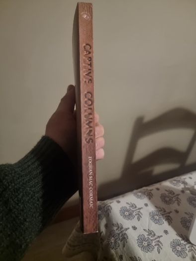Captive Columns (Paperback)  Eoghan Mac Cormaic